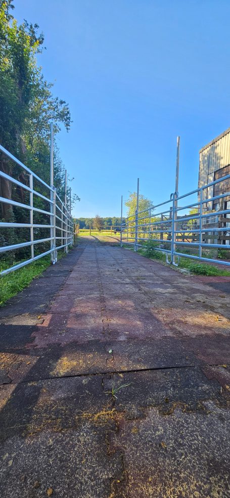 Viel Platz mit Turnmatten