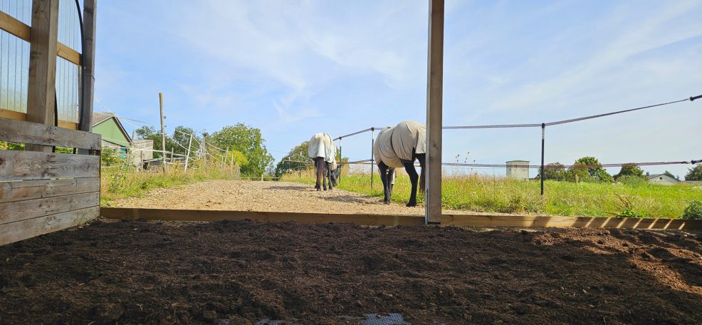 Blick aus einer Trailhütte